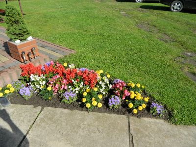 Click to view full size image