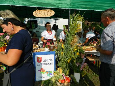 Click to view full size image