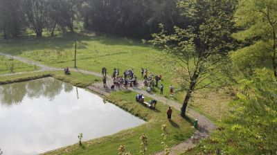 Click to view full size image